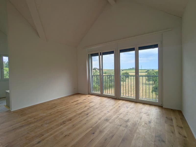 4.5 Zimmer-Dachwohnung in Mettlen (8)