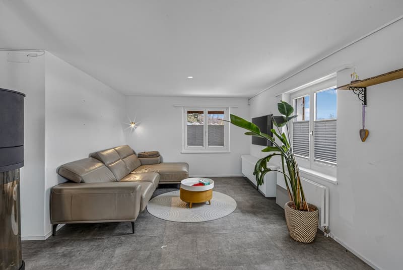 Wohnen mit Freiraum - freistehendes 8-Zimmer-Haus mit wunderschönem Umschwung (3)
