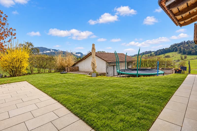 Ihr neues Zuhause in der Natur von Zürich! (20)