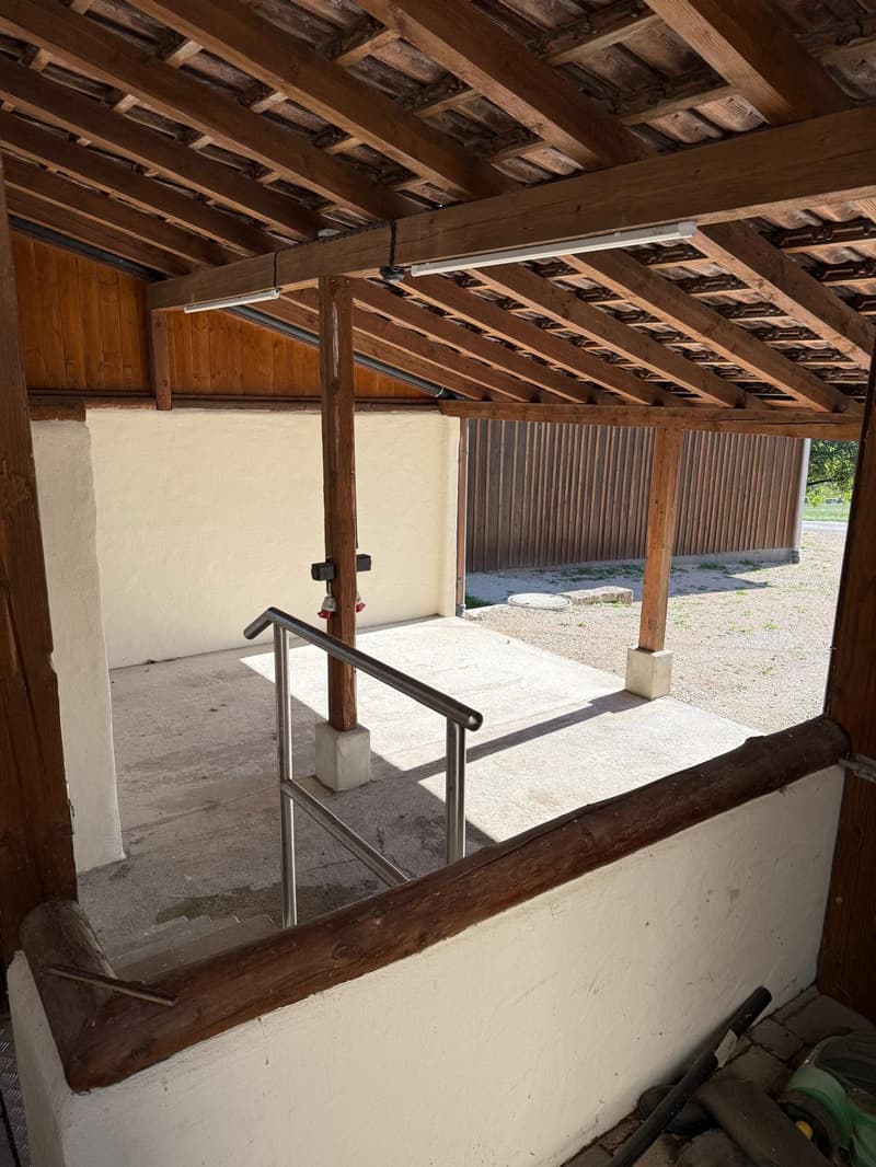 Traumhaus für Individualistinnen (16)
