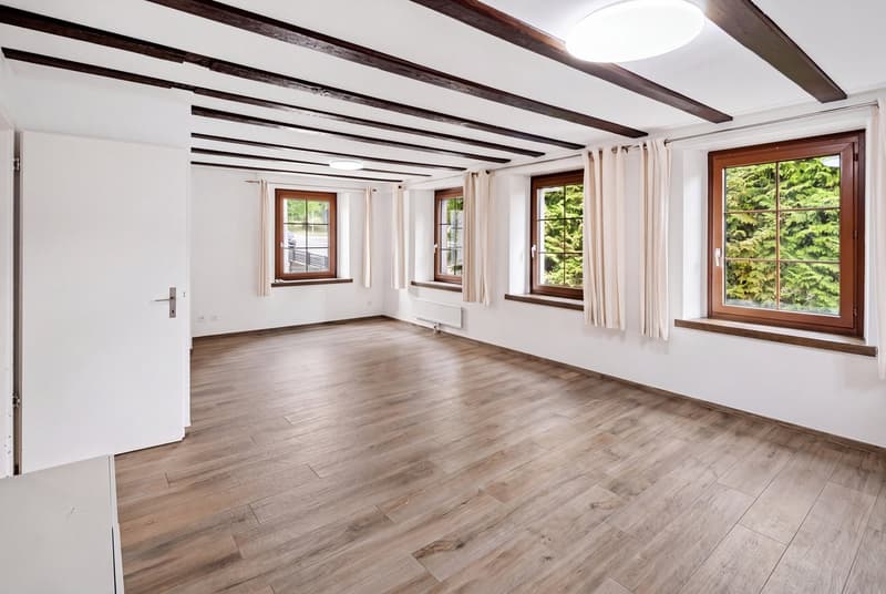 Zentral & Freistehend: Ihr neues Einfamilienhaus in Uster (3)