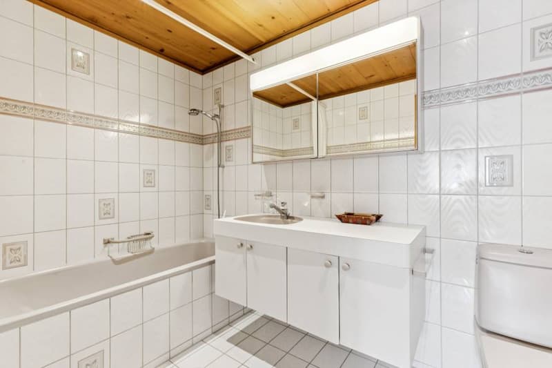 Magnifico Penthouse a Lauenen (7)