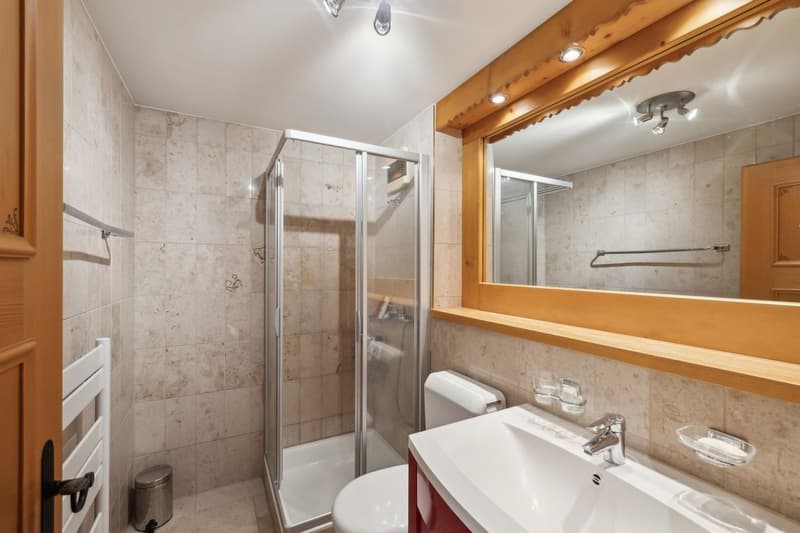Charmant appartement de 4.5 pièces, un investissement sûr dans un cadr (9)