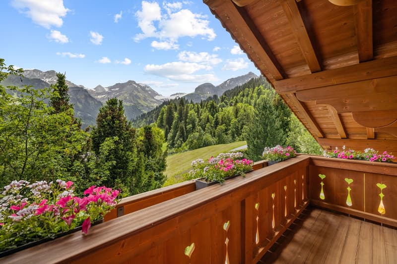 Proprietà eccezionale nel bellissimo villaggio di Lauenen (9)