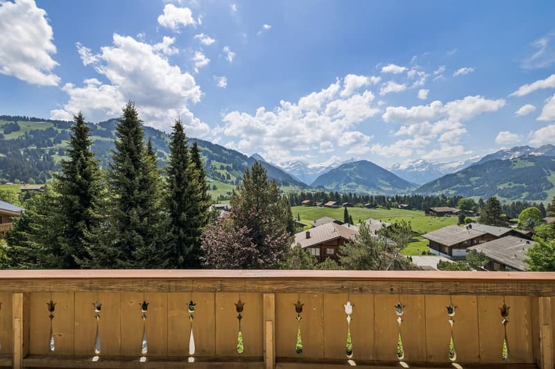 Magnificent chalet with panoramic view (1)