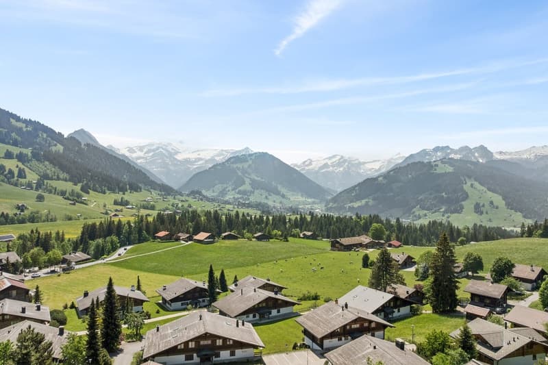 Magnifique chalet avec vue panoramique (3)
