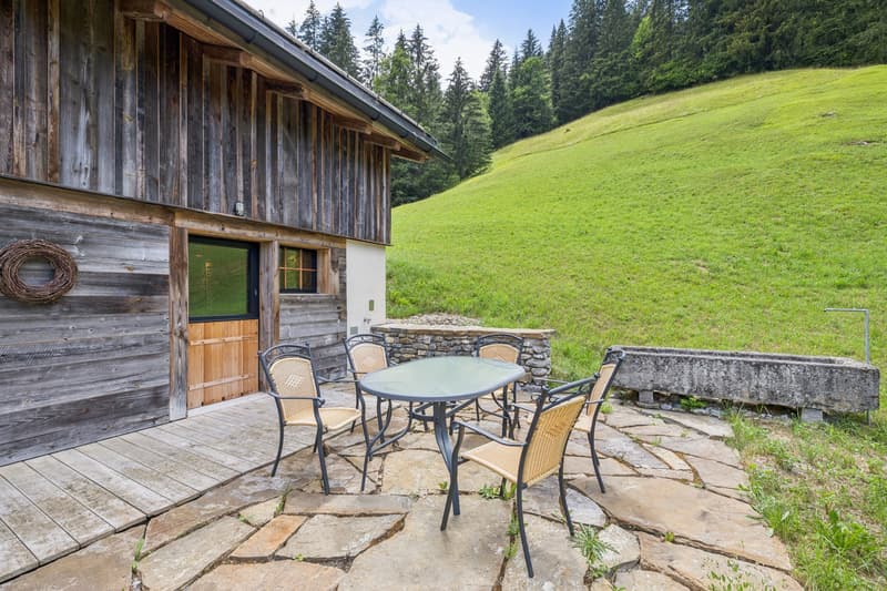 Außergewöhnliches Chalet - alpine Eleganz vor den Toren von Gstaad (8)