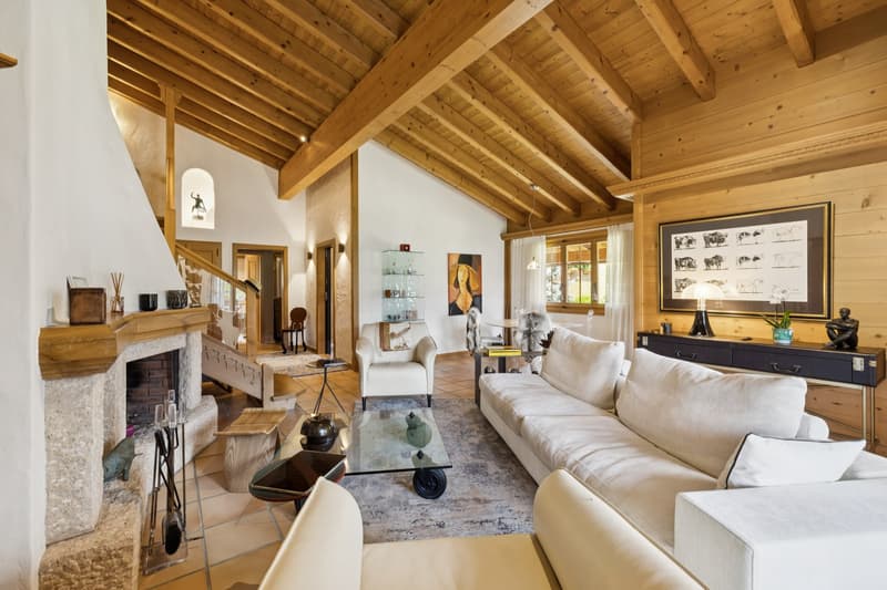 Magnificent Penthouse in Château d'Oex (3)