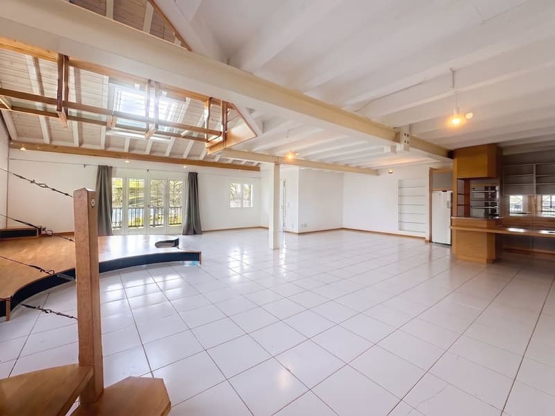 Vivez autrement : Loft en duplex avec terrasse à Villaz-St-Pierre (Fuyens) (2)