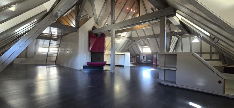 Villa, 8.5 pièces, 711.67 m2