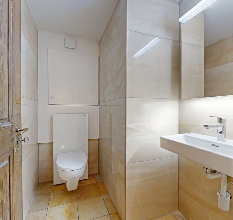 Beautifully renovated, very spacious and absolutely unique - dream home in the upper town (10)
