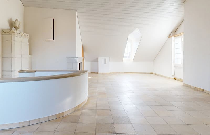 Beautifully renovated, very spacious and absolutely unique - dream home in the upper town (1)