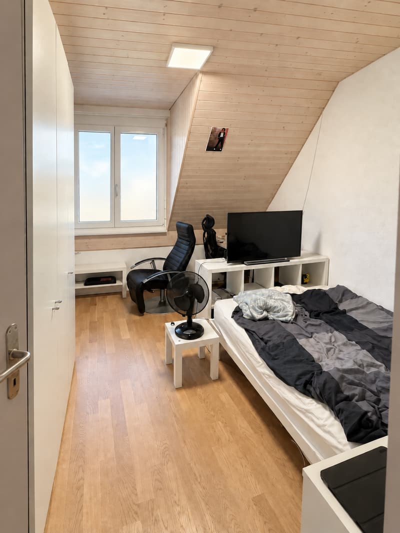 Viu Liecht, zwöi Baukön und dr Blick is Grüene (8)