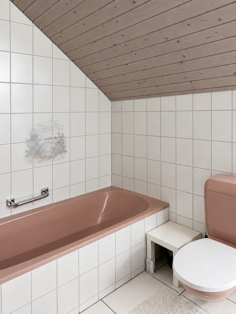 Viu Liecht, zwöi Baukön und dr Blick is Grüene (11)