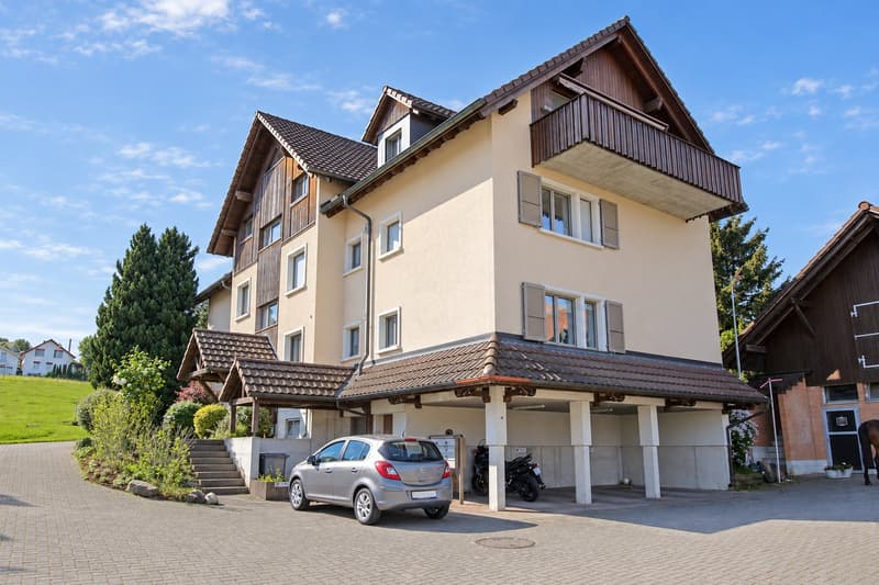 Viu Liecht, zwöi Baukön und dr Blick is Grüene (12)