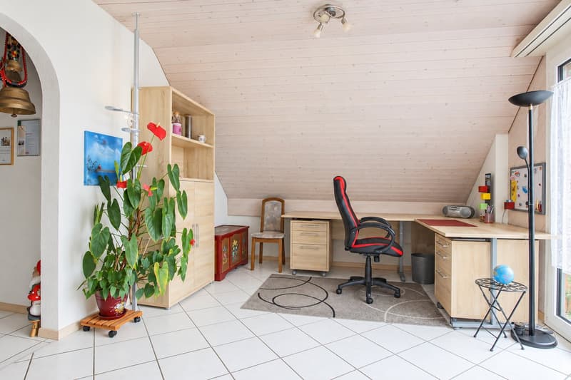 Viu Liecht, zwöi Baukön und dr Blick is Grüene (6)