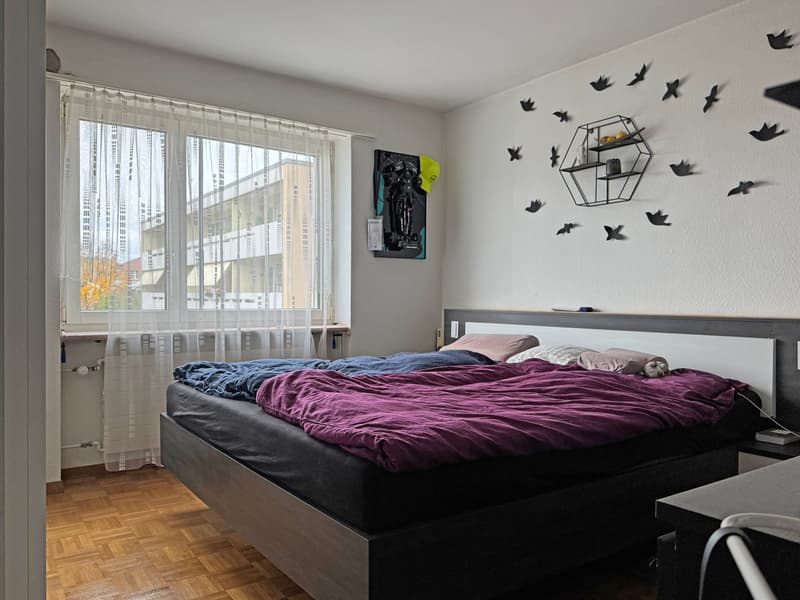 Viu Platz, viu Liecht und viu Ruum zum Deheime si (8)