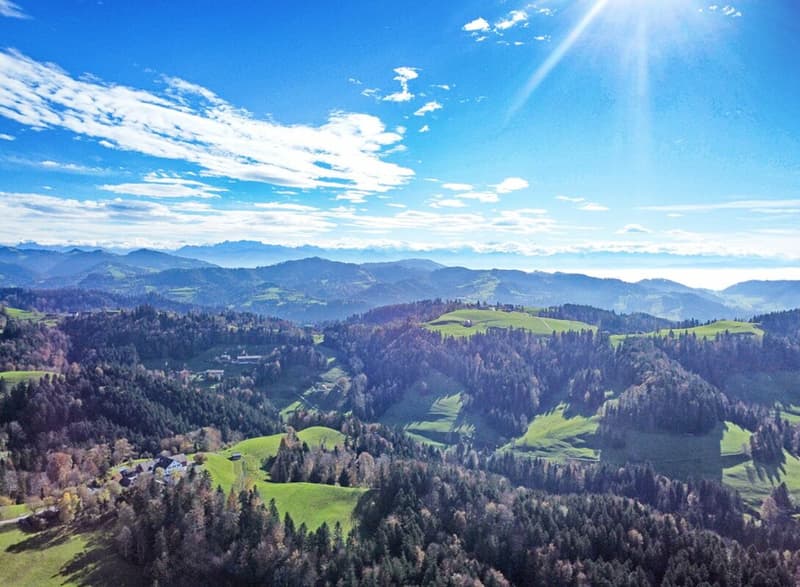 Maison de campagne de 6,5 pièces avec grand terrain (5)