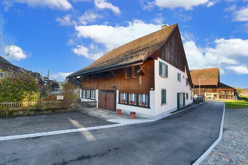 Two-family country house with development potential (2)