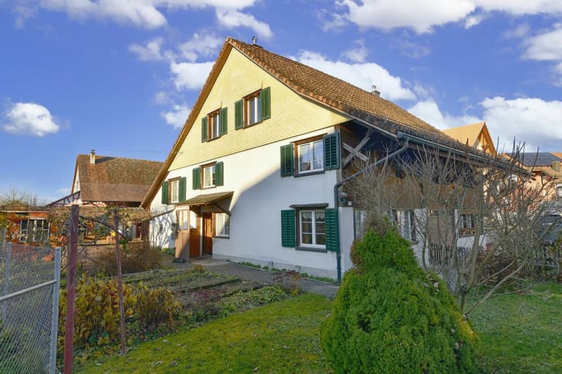 Two-family country house with development potential (4)