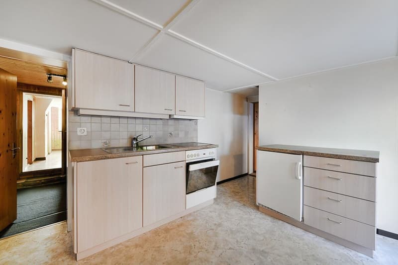 Two-family country house with development potential (6)
