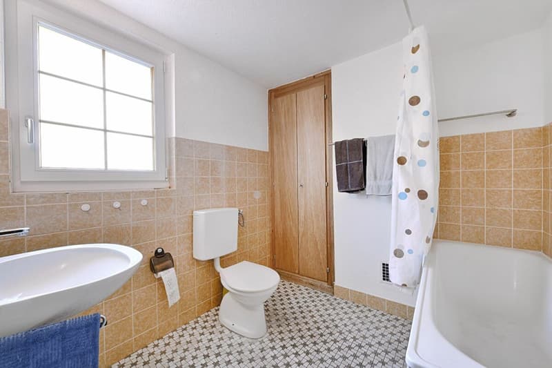 Two-family country house with development potential (11)