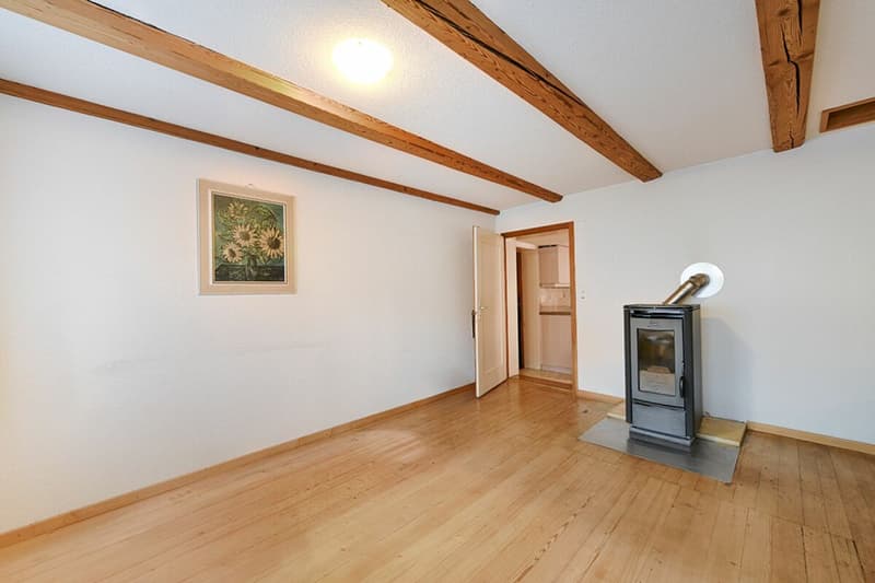 Two-family country house with development potential (8)