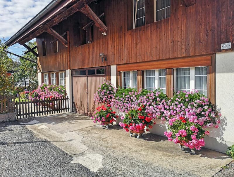 Two-family country house with development potential (1)