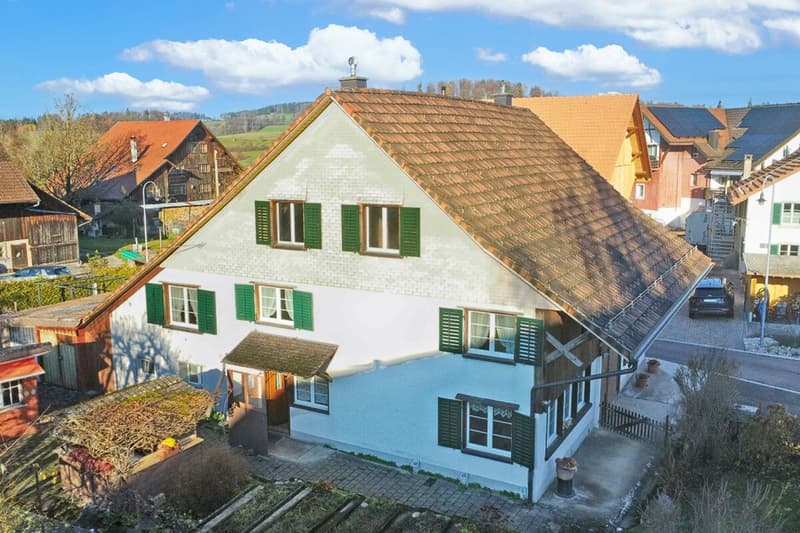 Two-family country house with development potential (3)