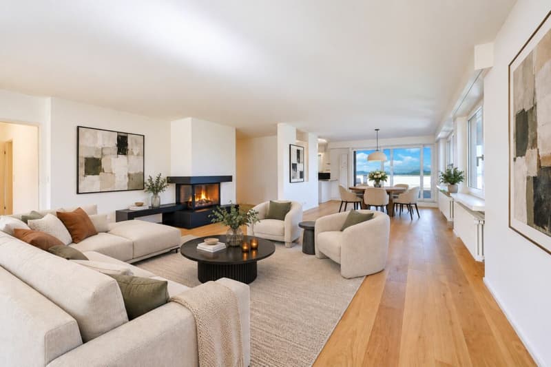 5.5 Zimmer-Attikawohnung mit grosser Terrasse und fantastischem Panoramablick (1)
