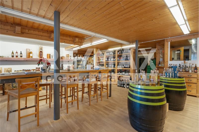 Interesting commercial spaces for rent in a prime location in Brienz (5)