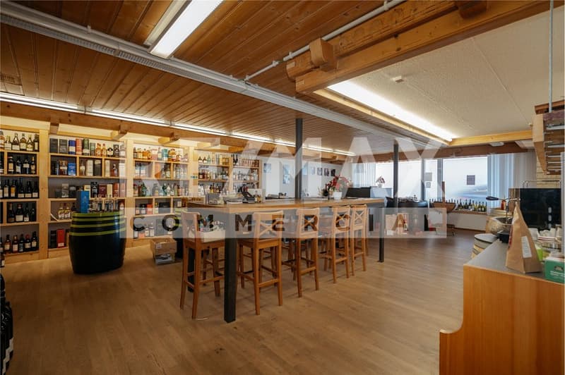 Interesting commercial spaces for rent in a prime location in Brienz (3)