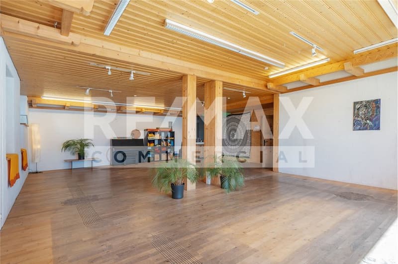 Interesting commercial spaces for rent in a prime location in Brienz (10)