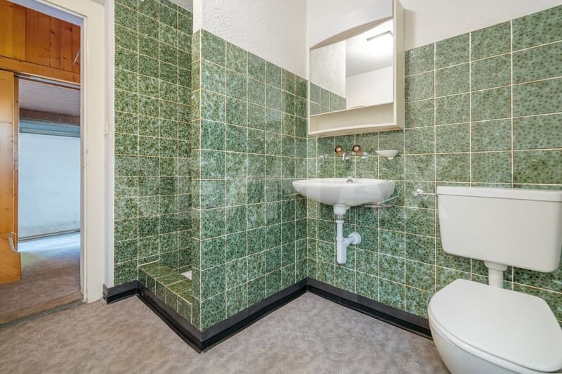 Rénover. Agrandir. Arriver. Votre première maison avec potentiel (5)