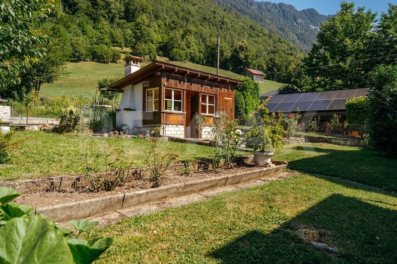 Rénover. Agrandir. Arriver. Votre première maison avec potentiel (12)