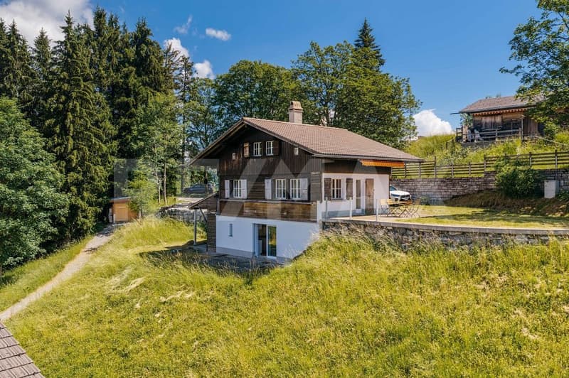 Die Berge vor Augen, den See zu Füssen - Ferienchalet mit 4.5 Zimmern und zusätzlichem Studio (2)