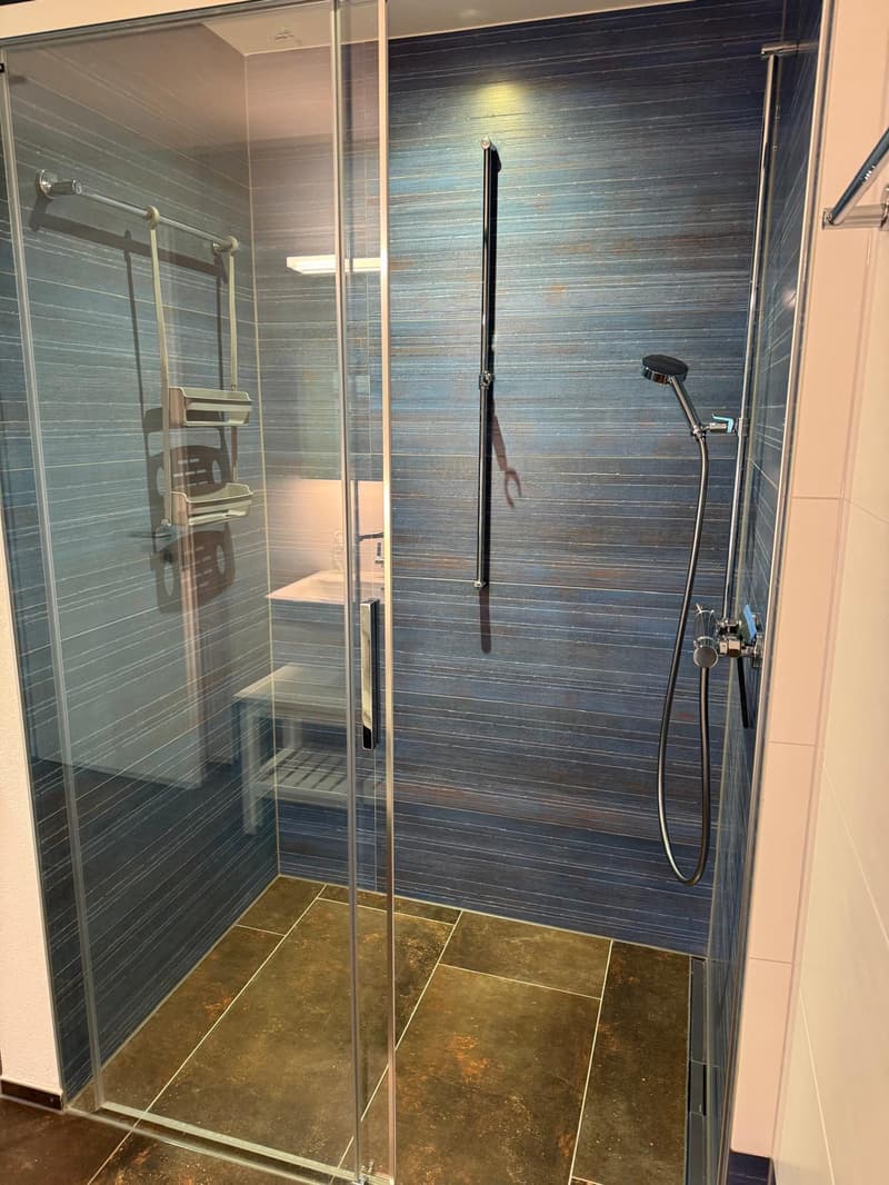 shower area with glass door, blue tiles, shower head, and shower rack