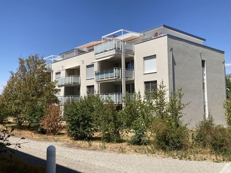 Locale disponibile in affitto a Uzwil (1)
