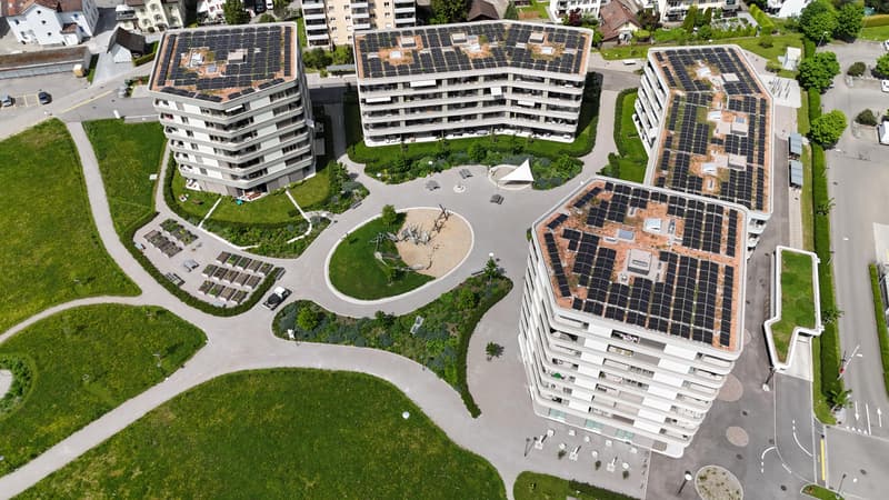 3.5-Zimmerwohnung in Niederuzwil (1)