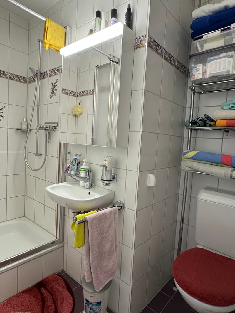 Dusche WC