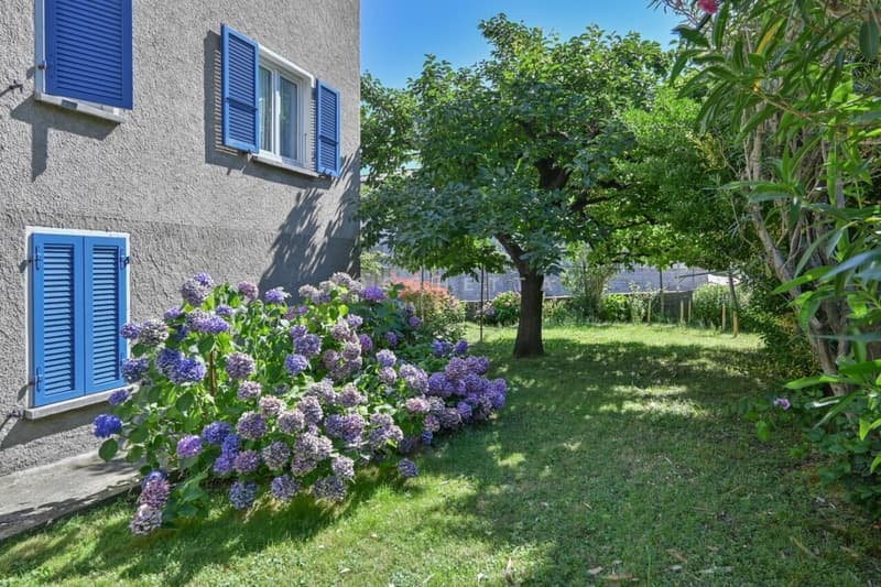 Casa bifamiliare nel Nucleo con grande potenziale (6)
