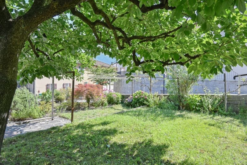 Casa bifamiliare nel Nucleo con grande potenziale (7)