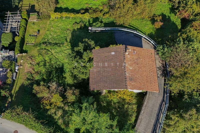 Terreno immerso nel verde  con incantevole vista sul Lago Maggiore (4)