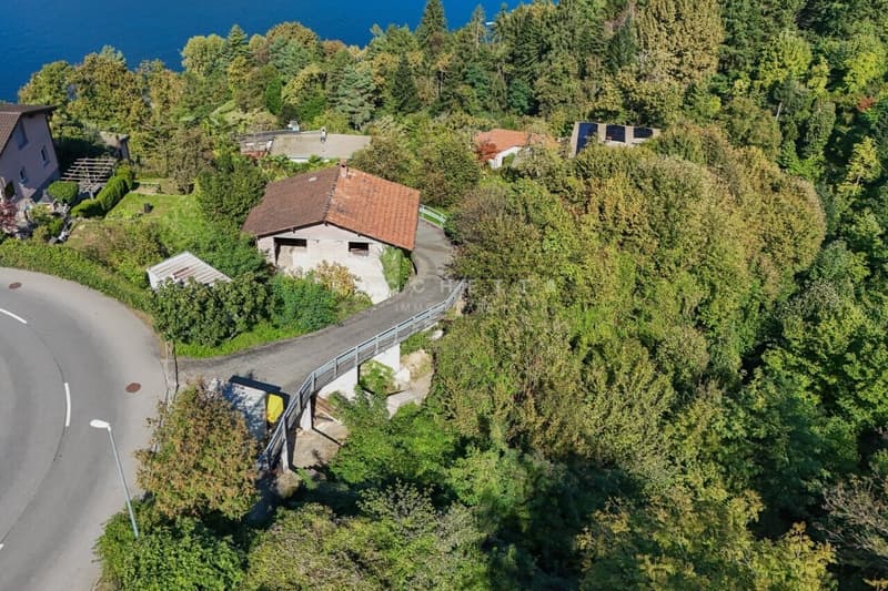 Terreno immerso nel verde  con incantevole vista sul Lago Maggiore (5)