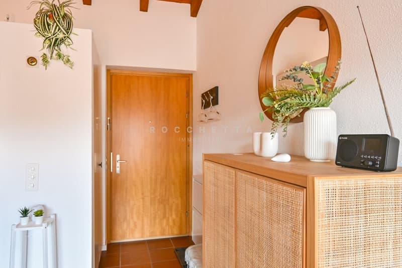 Grazioso appartamento duplex arredato con gusto e con grande terrazza (5)