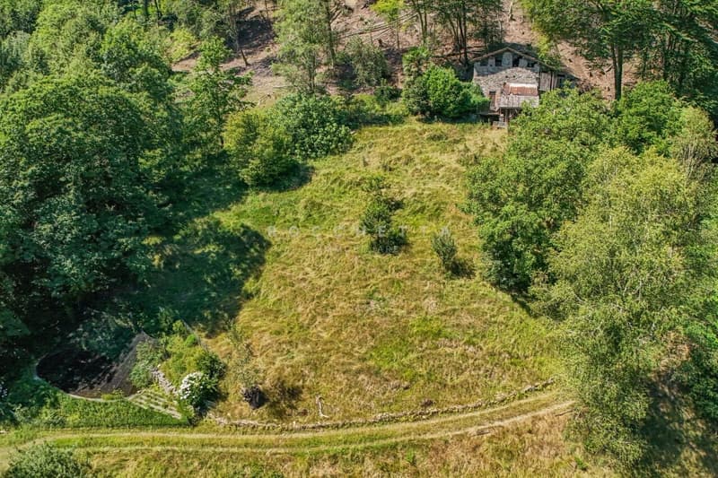 Paradiso naturale con incantevole vista, terreni agricoli e boschivi (13)