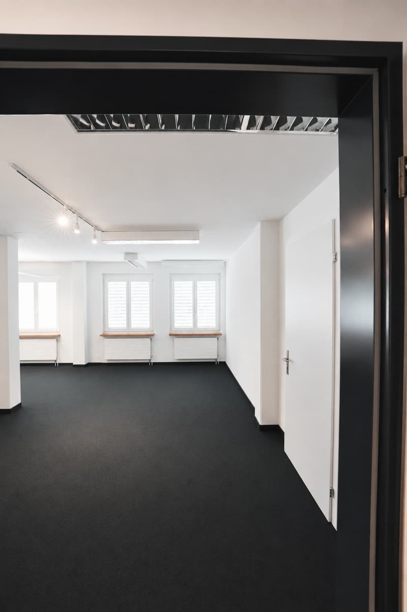 Grosszügige Wohnung in zentraler Lage (1)