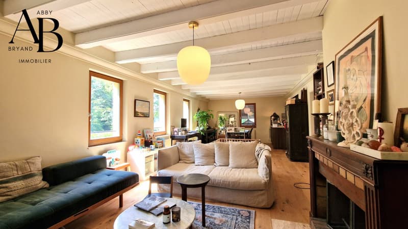 Authentic Duplex & Garden, Presinge CASATAX Abby Bryand Immobilier (2)