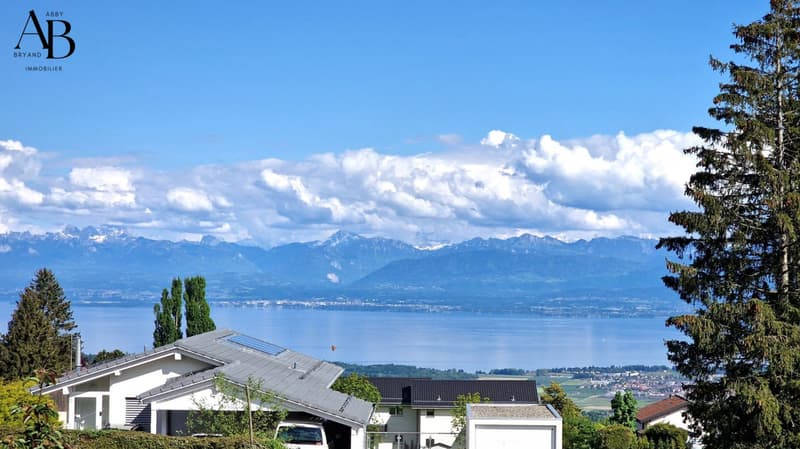 Opportunité à saisir: Beautiful Lake Villa, Arzier-Le - Muids (6)