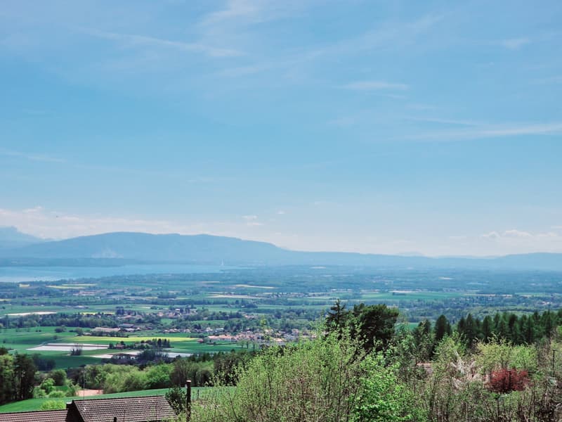Exclusive: Lake view Villa, beautiful individual Villa in Arzier-Le-Muids (1)